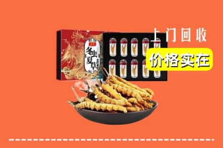 日喀则定日回收冬虫夏草